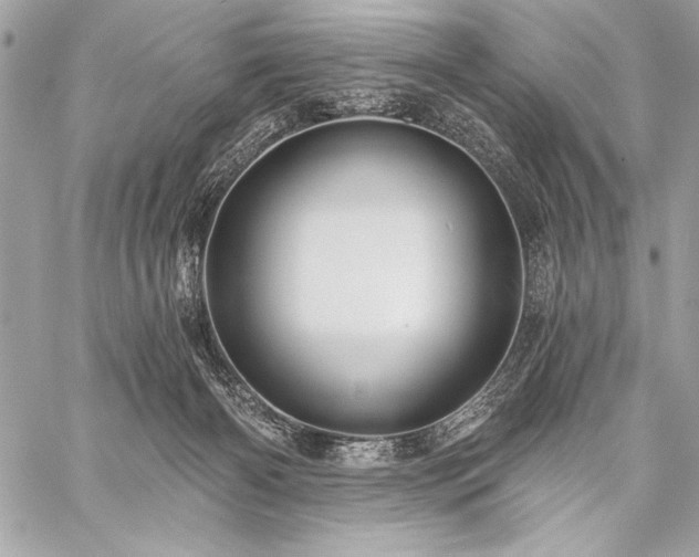 X0000059240126200510141112