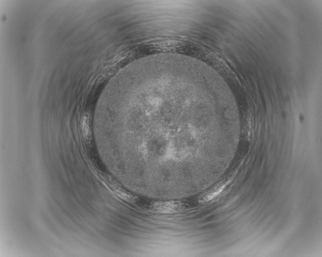 X0000059240131200510141112