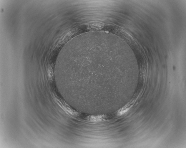 X0000059240134200510141112