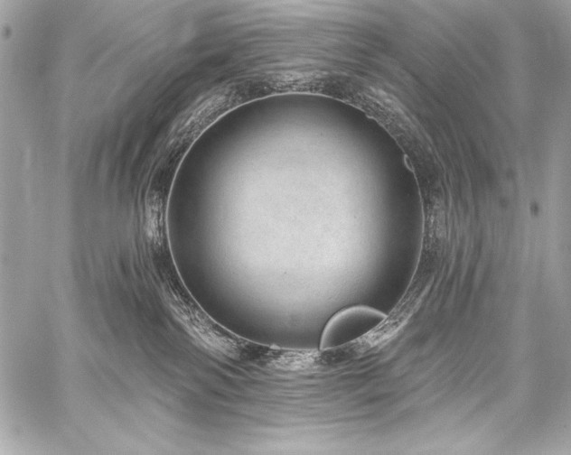 X0000059240138200510141112