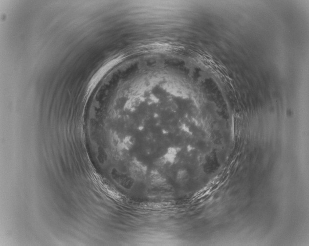 X0000059240147200510141111