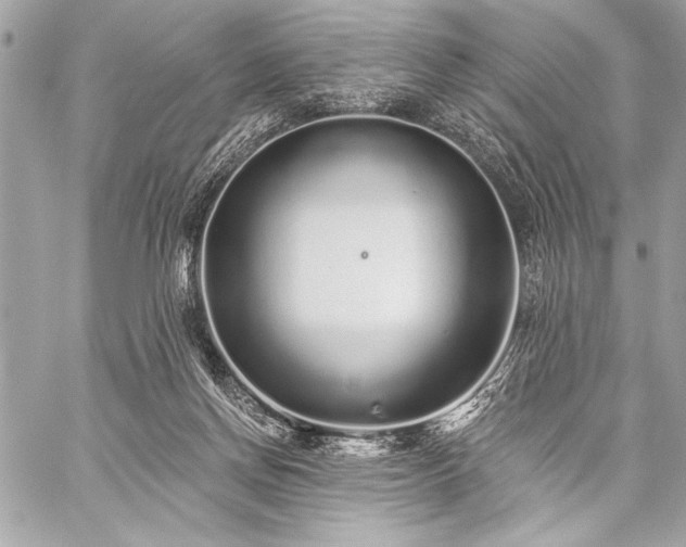 X0000059240166200510141112