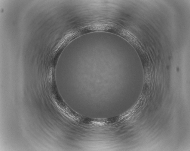 X0000059240167200510141112