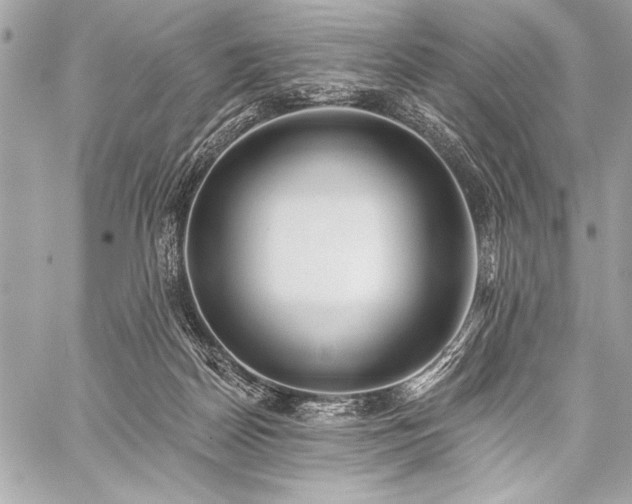 X0000059240170200510141112