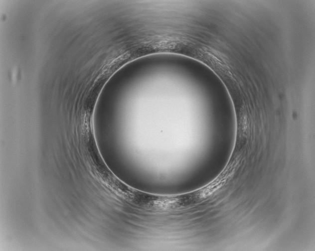 X0000059240172200510141112