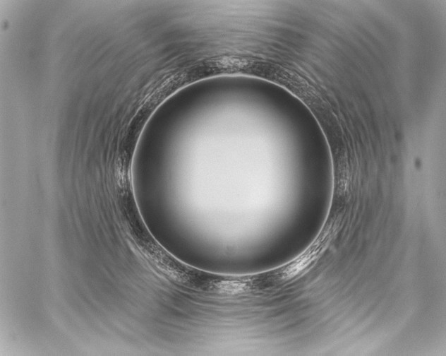 X0000059240176200510141112