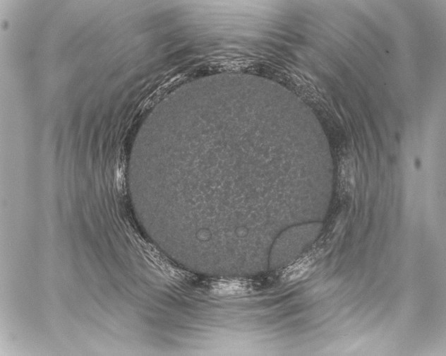 X0000059240177200510141112