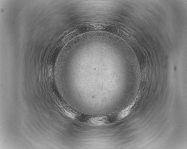 X0000059240178200510141112