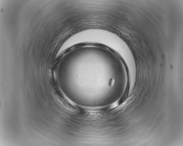 X0000059240188200510141112