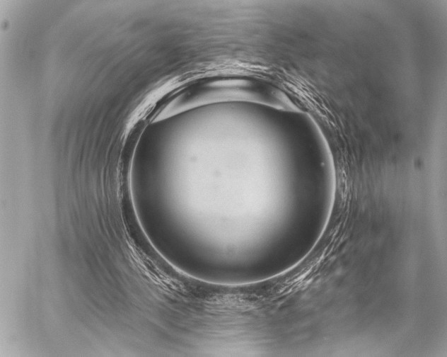 X0000059240244200510141110