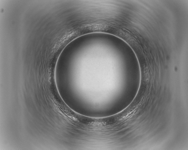 X0000059240255200510141110