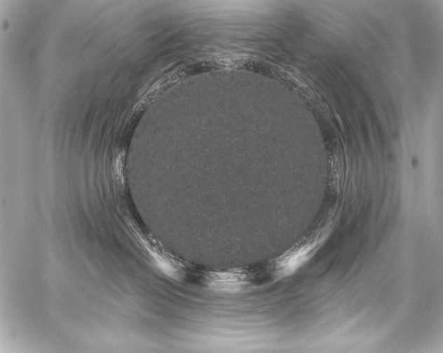 X0000059240286200510141110