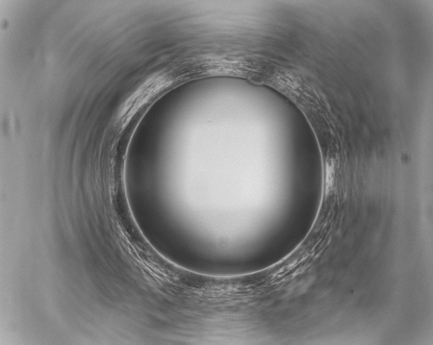X0000059240291200510141110