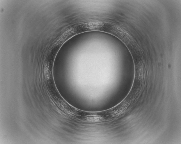 X0000059240316200510141109