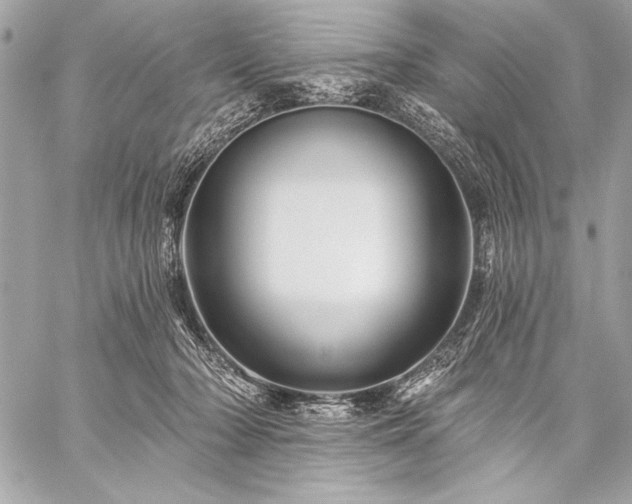 X0000059240318200510141109