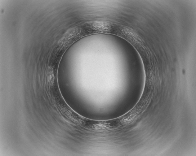X0000059240320200510141109