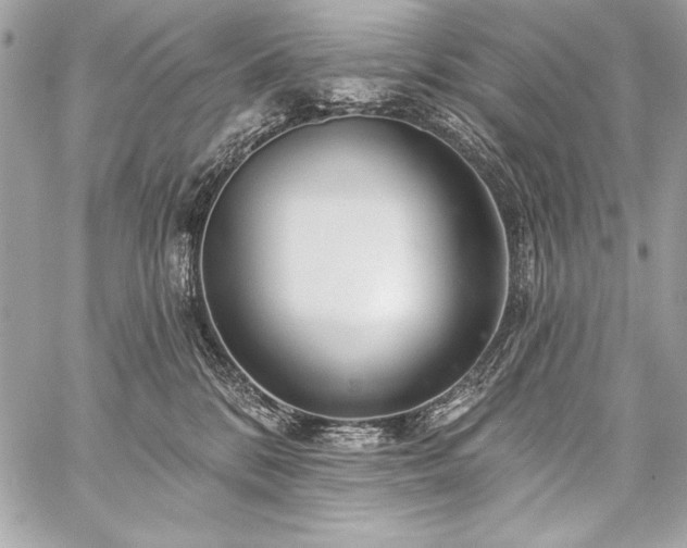 X0000059240328200510141109