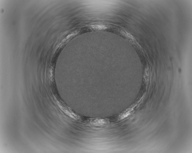 X0000059240330200510141109