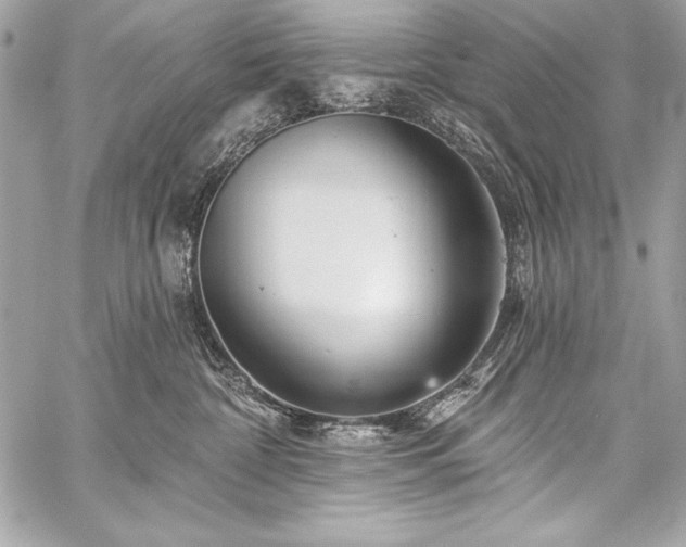X0000059240332200510141109