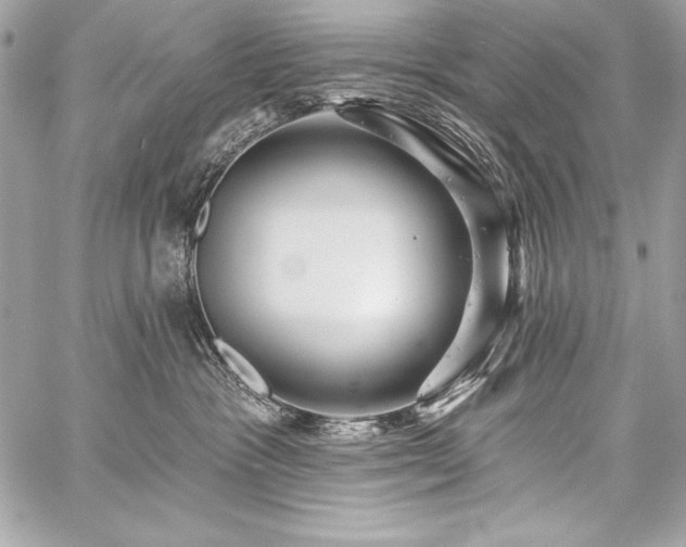 X0000059240333200510141109