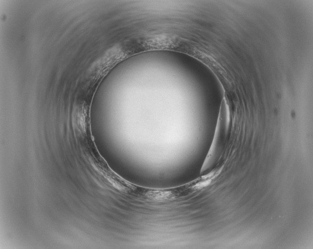 X0000059240334200510141109