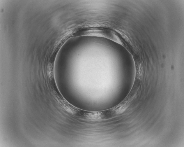 X0000059240335200510141109