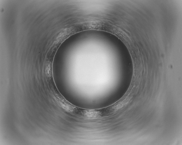 X0000059240336200510141109