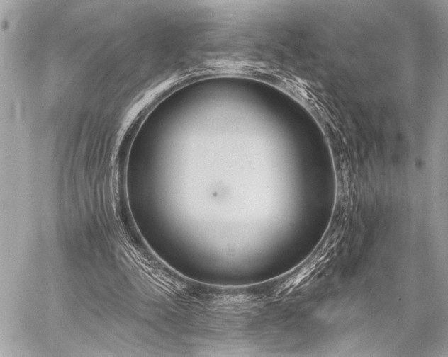 X0000059240342200510141108