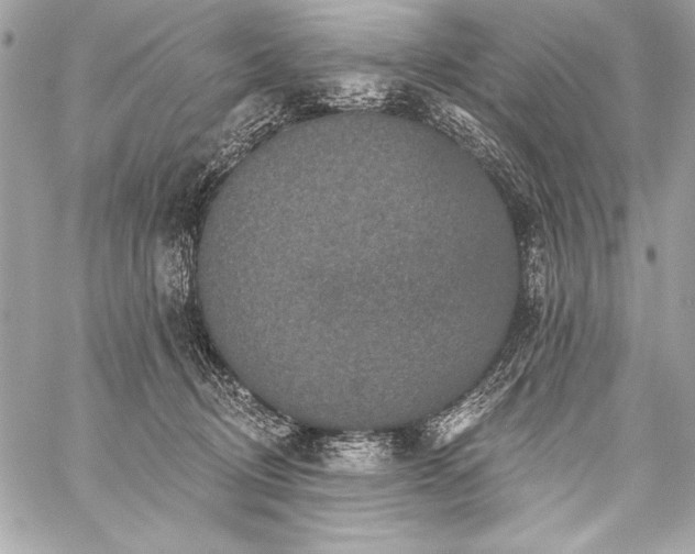 X0000059240370200510141109
