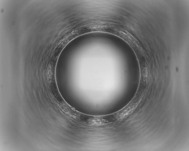 X0000059240372200510141109