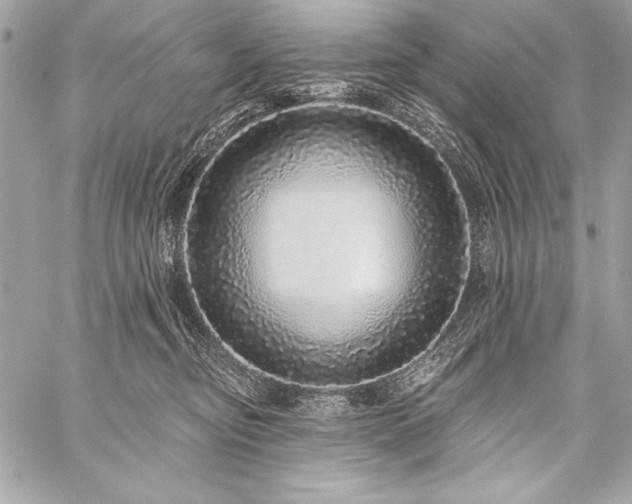 X0000059240374200510141109