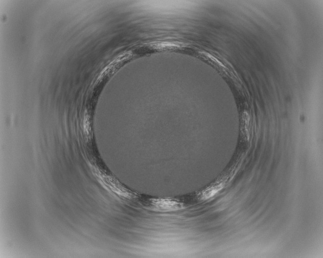 X0000059240380200510141109
