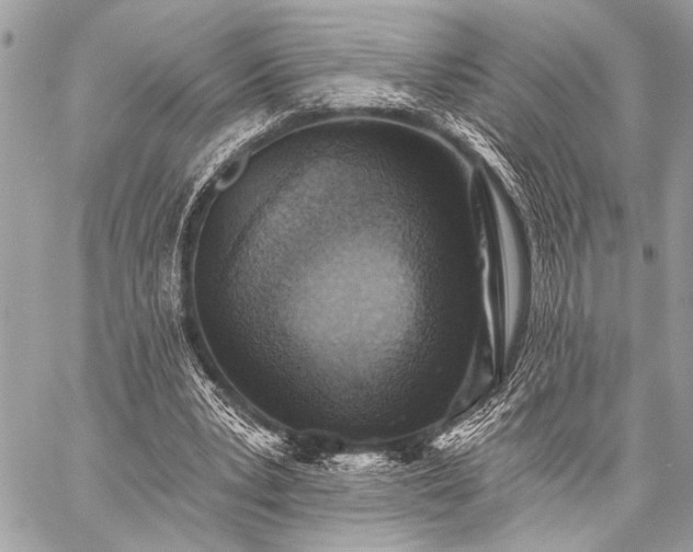 X0000059240391200510141108