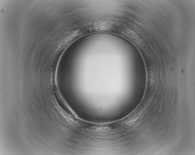 X0000059240401200510141108