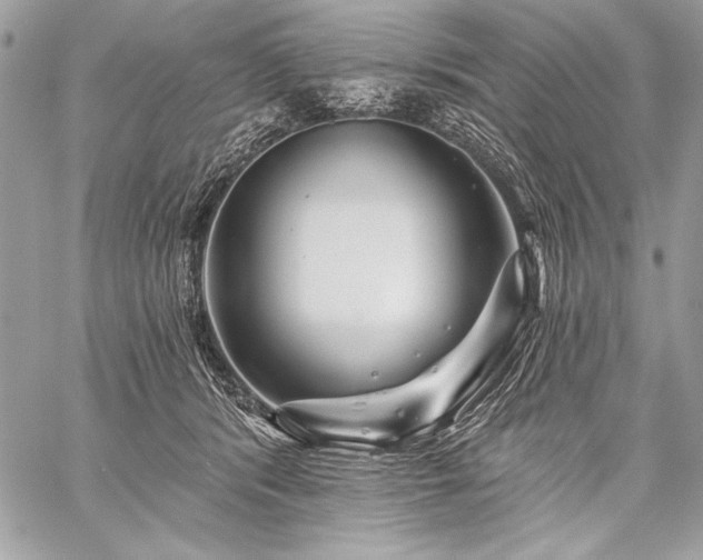 X0000059240416200510141108