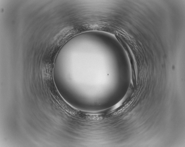X0000059240421200510141107