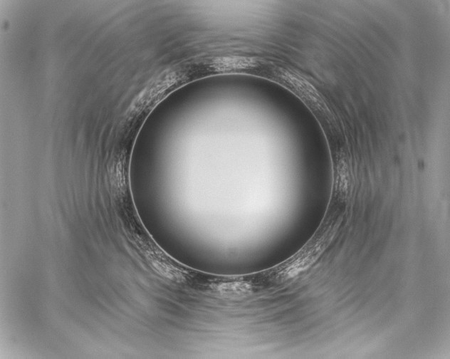 X0000059240426200510141107