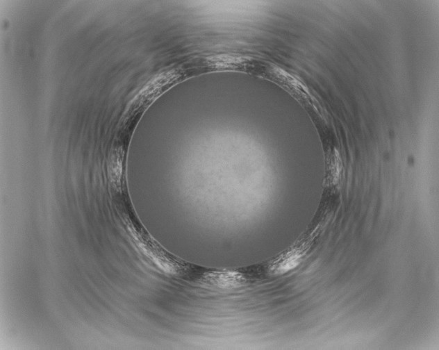 X0000059240427200510141107