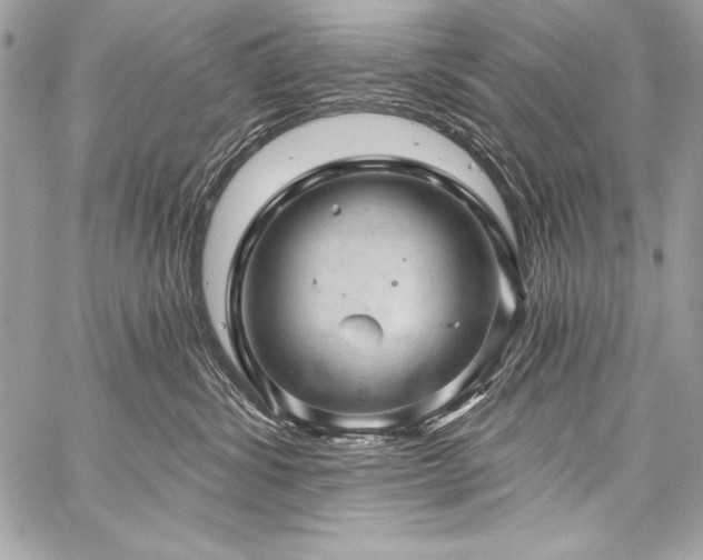 X0000059240428200510141107