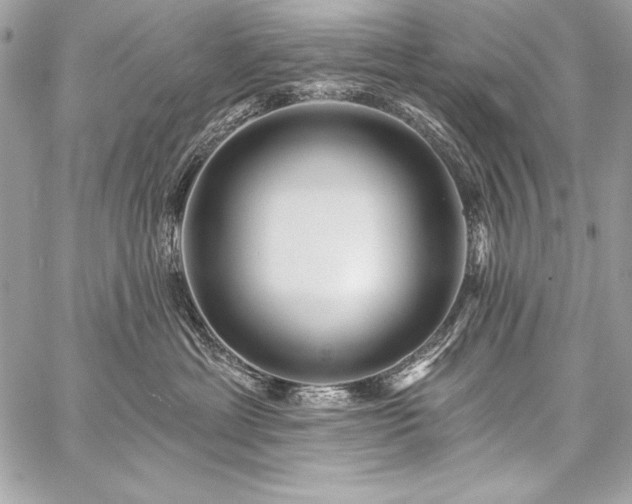 X0000059240429200510141107
