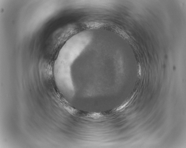 X0000059240431200510141107