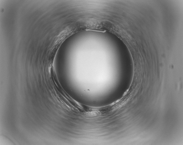 X0000059240432200510141107