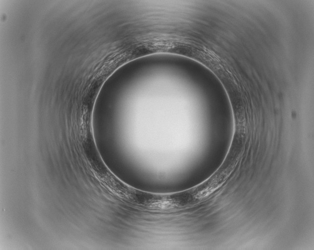 X0000059240460200510141107