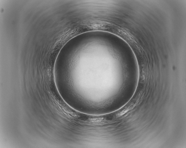 X0000059240461200510141107