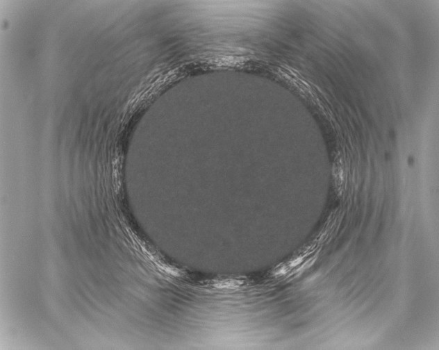 X0000059240462200510141107