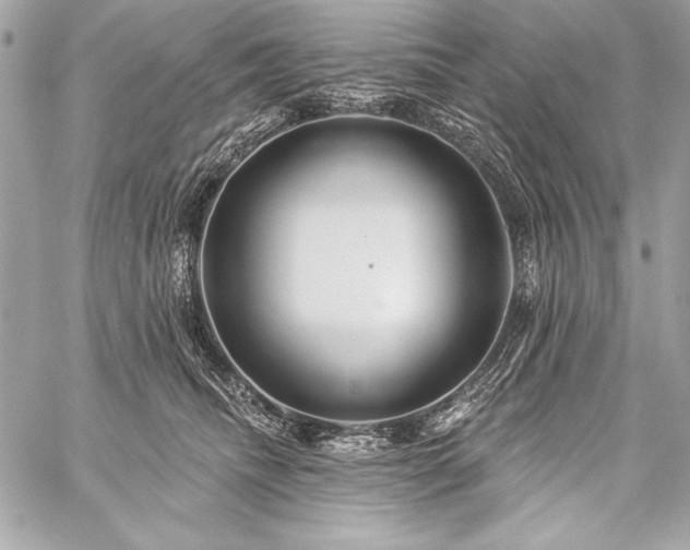 X0000059240468200510141107