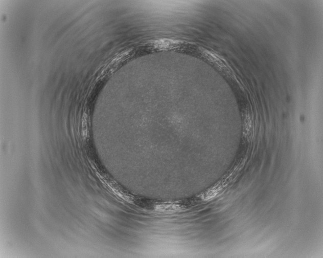 X0000059240470200510141107