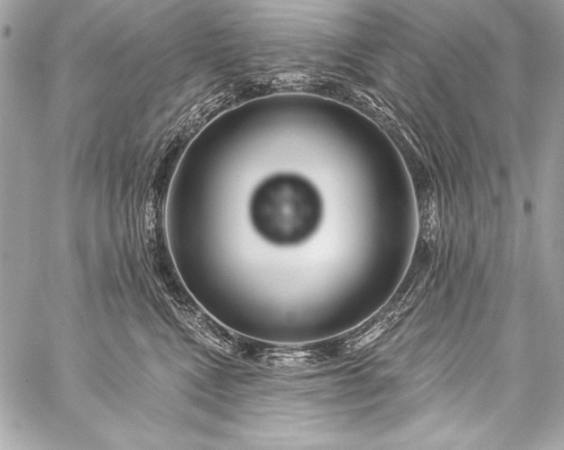 X0000059240472200510141107