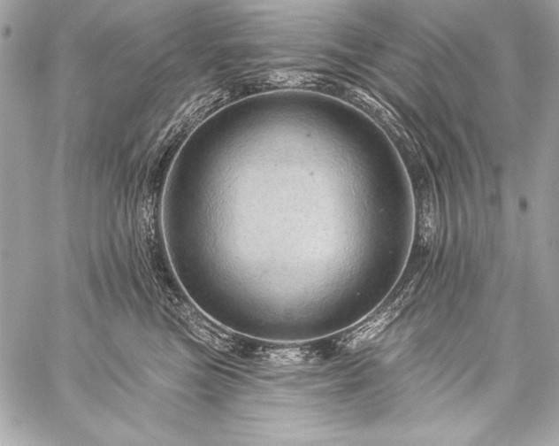 X0000059240473200510141107