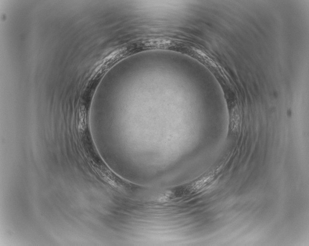 X0000059240474200510141107